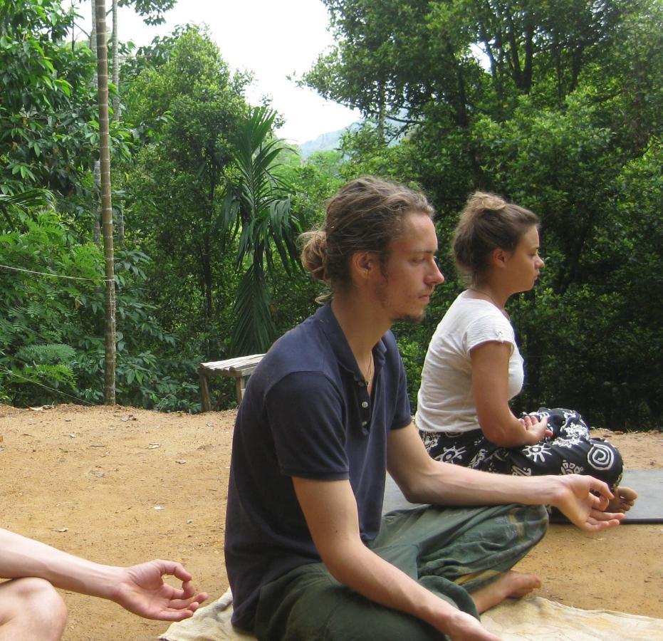 Spiritual Nature Farm - Sri Lanka Matale Eksteriør bilde