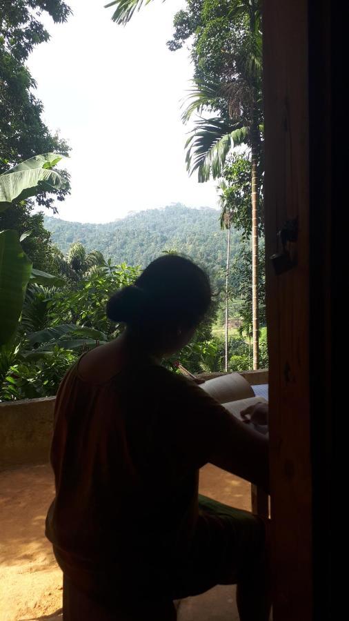 Spiritual Nature Farm - Sri Lanka Matale Eksteriør bilde
