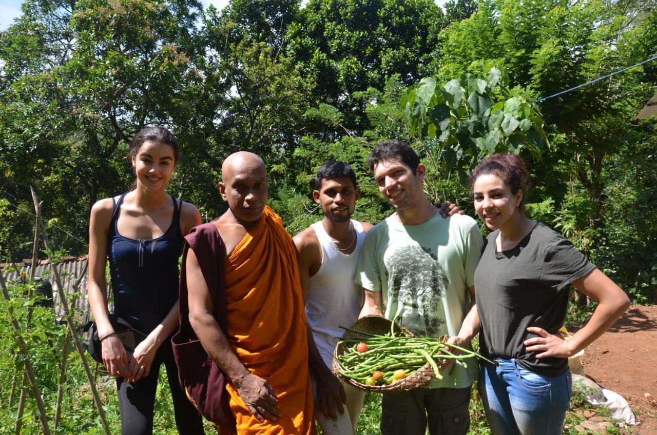 Spiritual Nature Farm - Sri Lanka Matale Eksteriør bilde