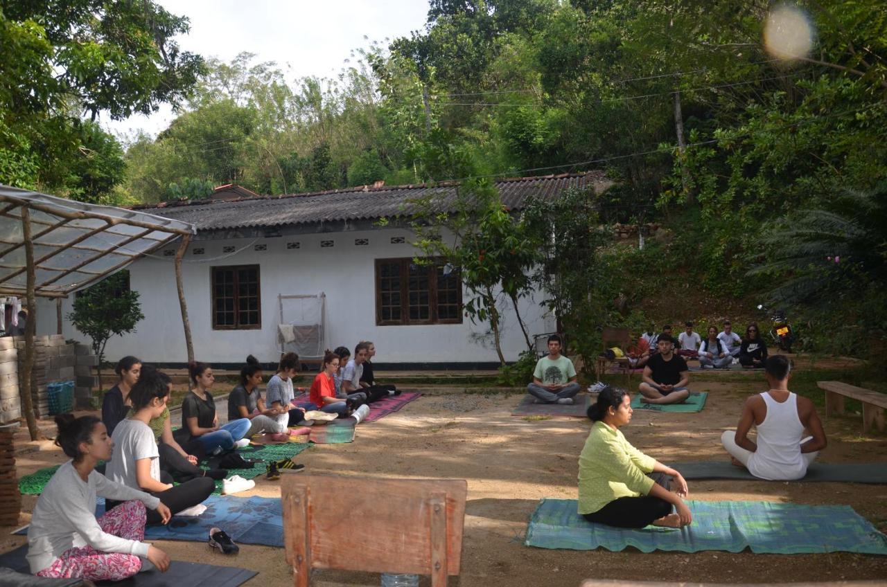 Spiritual Nature Farm - Sri Lanka Matale Eksteriør bilde
