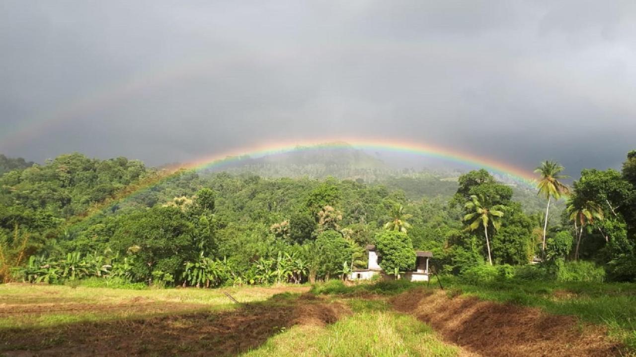 Spiritual Nature Farm - Sri Lanka Matale Eksteriør bilde